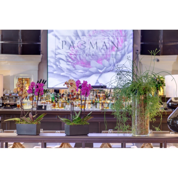 Ресторанный сервис бронирования столиков menu-rest.com - Интерьер ресторана "Pacman"