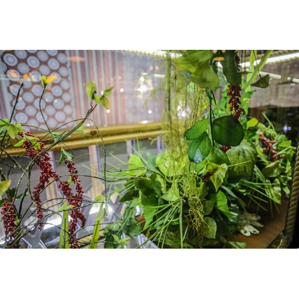 Ресторанный сервис бронирования столиков menu-rest.com - Интерьер ресторана "Пахвала"