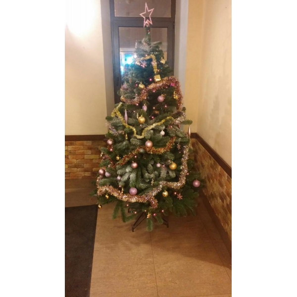 Ресторанный сервис бронирования столиков menu-rest.com - Интерьер ресторана "Ямм Пицца"