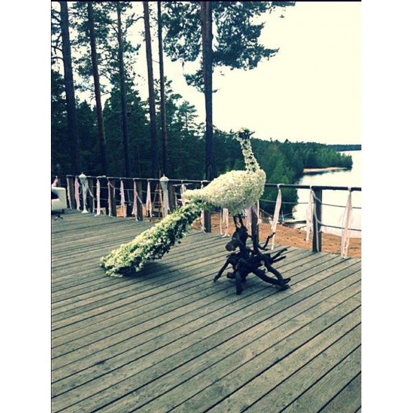 Ресторанный сервис бронирования столиков menu-rest.com - Интерьер ресторана "Лесная рапсодия"