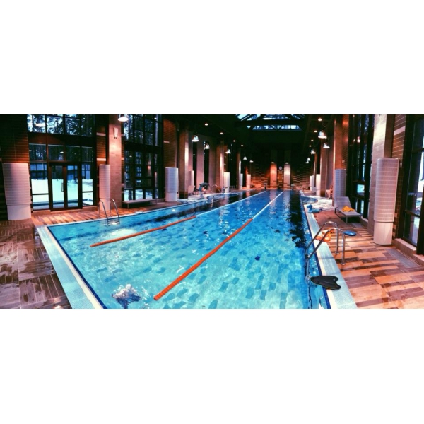 Ресторанный сервис бронирования столиков menu-rest.com - Интерьер ресторана "Лесная рапсодия"