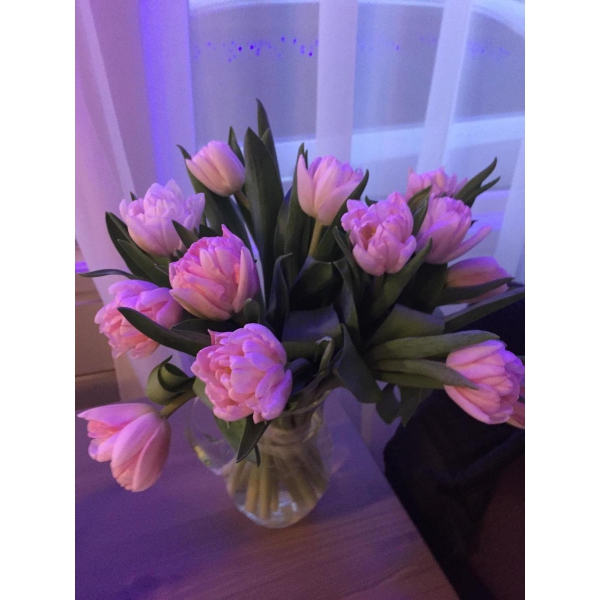 Ресторанный сервис бронирования столиков menu-rest.com - Интерьер ресторана "Гости"