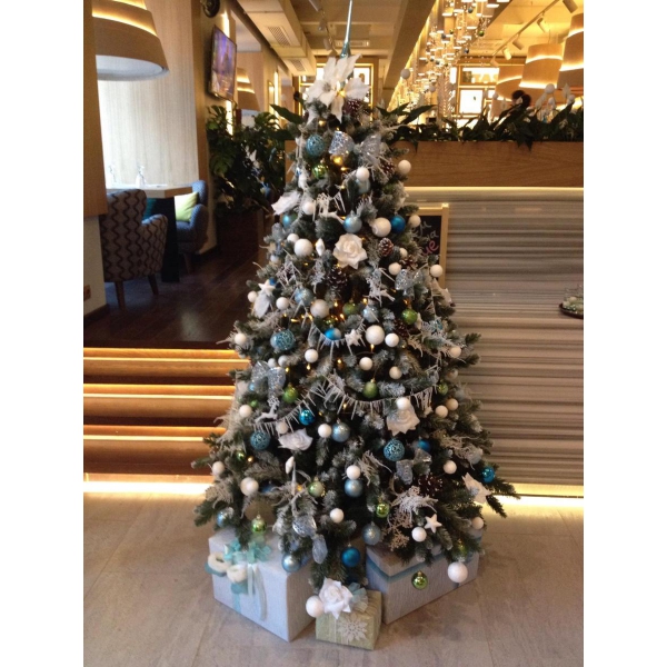 Ресторанный сервис бронирования столиков menu-rest.com - Интерьер ресторана "Bona Capona"