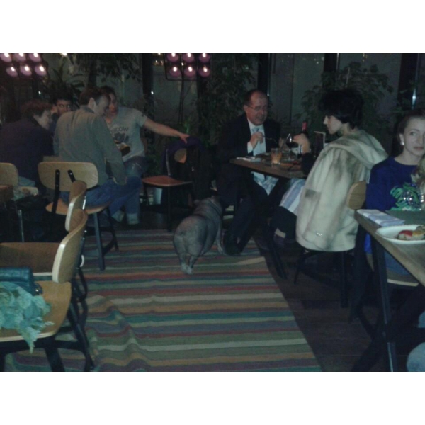 Ресторанный сервис бронирования столиков menu-rest.com - Интерьер ресторана "Фани Кабани"