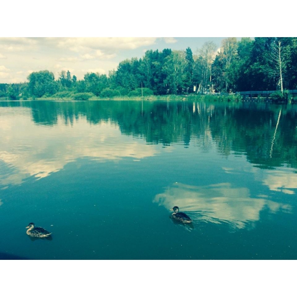 Ресторанный сервис бронирования столиков menu-rest.com - Интерьер ресторана "Усадьба в Юрлово"