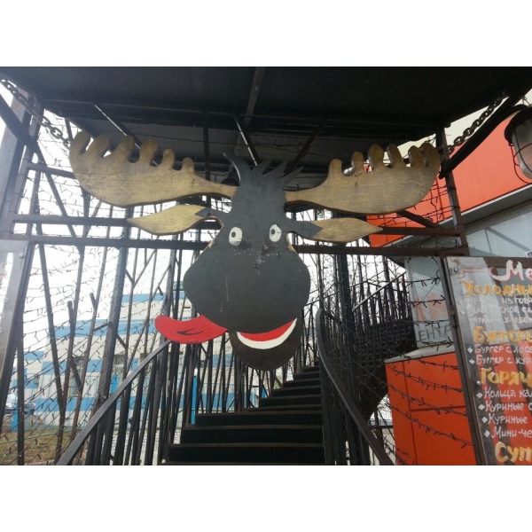 Ресторанный сервис бронирования столиков menu-rest.com - Интерьер ресторана "Сытый Лось"