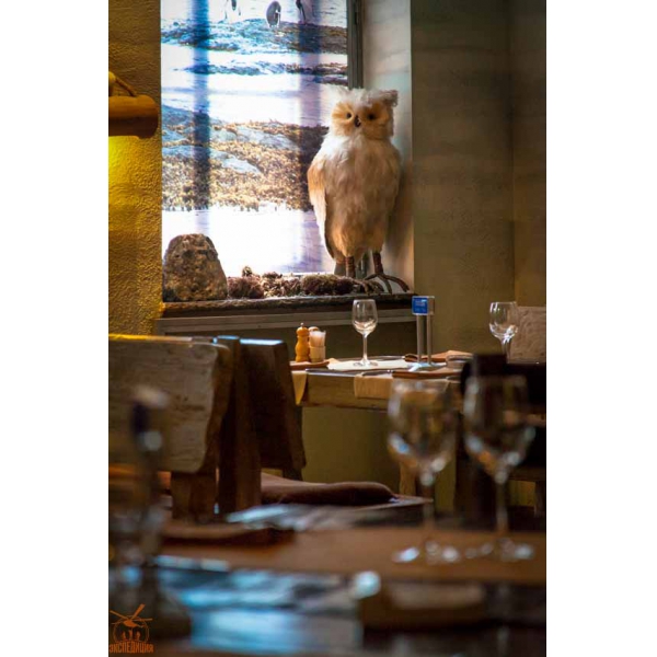 Ресторанный сервис бронирования столиков menu-rest.com - Интерьер ресторана "Экспедиция"