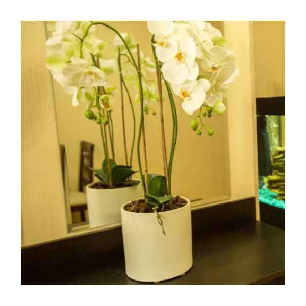 Ресторанный сервис бронирования столиков menu-rest.com - Интерьер ресторана "КАФЕ «САЯНЫ»"