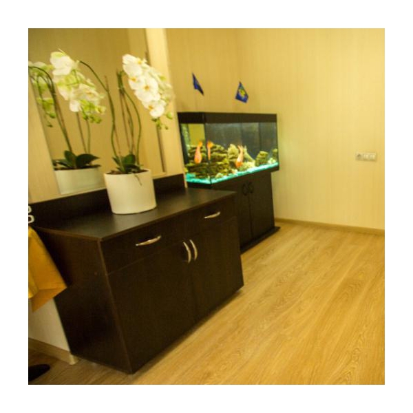 Ресторанный сервис бронирования столиков menu-rest.com - Интерьер ресторана "КАФЕ «САЯНЫ»"