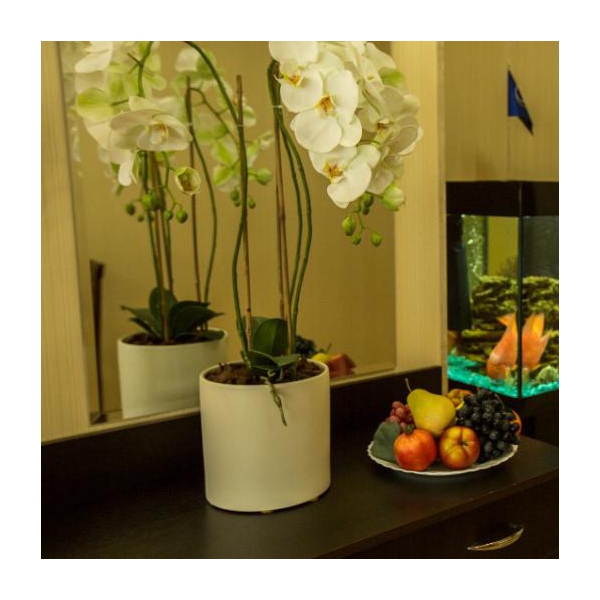 Ресторанный сервис бронирования столиков menu-rest.com - Интерьер ресторана "КАФЕ «САЯНЫ»"