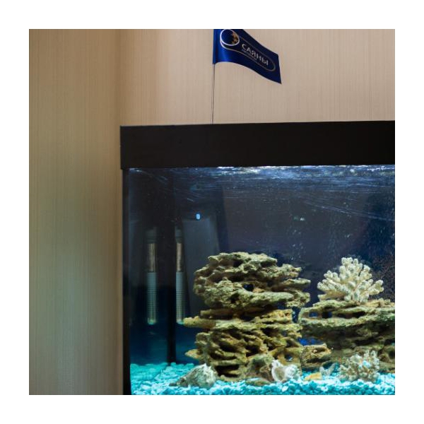 Ресторанный сервис бронирования столиков menu-rest.com - Интерьер ресторана "КАФЕ «САЯНЫ»"