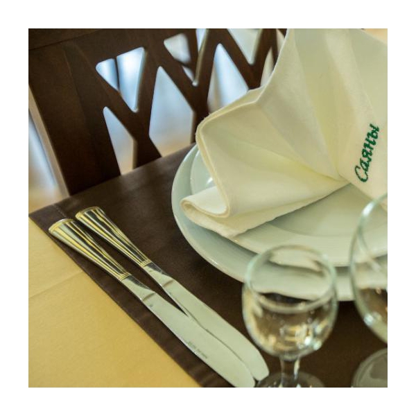 Ресторанный сервис бронирования столиков menu-rest.com - Интерьер ресторана "КАФЕ «САЯНЫ»"