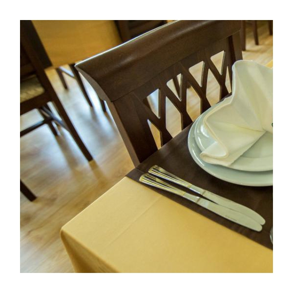 Ресторанный сервис бронирования столиков menu-rest.com - Интерьер ресторана "КАФЕ «САЯНЫ»"