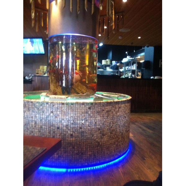 Ресторанный сервис бронирования столиков menu-rest.com - Интерьер ресторана "Bamboo.bar"