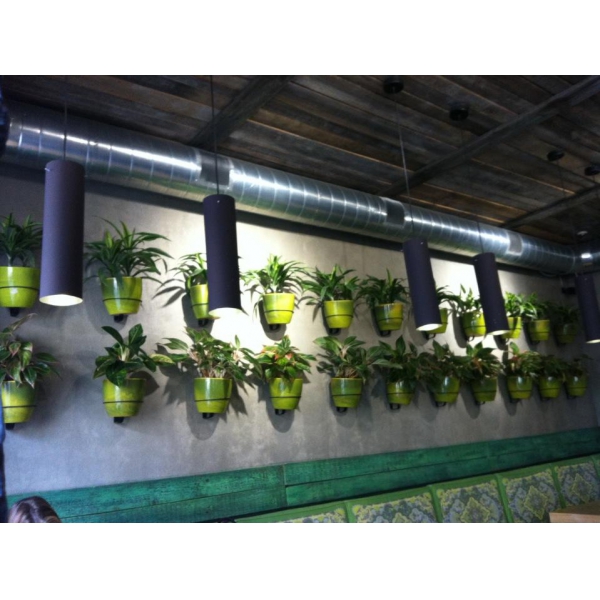 Ресторанный сервис бронирования столиков menu-rest.com - Интерьер ресторана "Fresh"