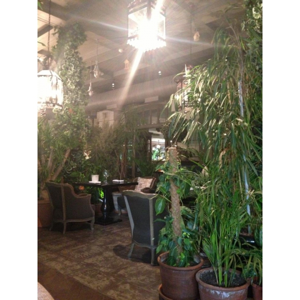 Ресторанный сервис бронирования столиков menu-rest.com - Интерьер ресторана "The сад"