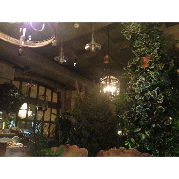Ресторанный сервис бронирования столиков menu-rest.com - Интерьер ресторана "The сад"