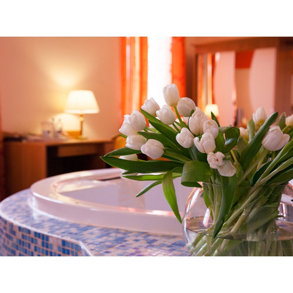 Ресторанный сервис бронирования столиков menu-rest.com - Интерьер ресторана "Максима Хотелс"