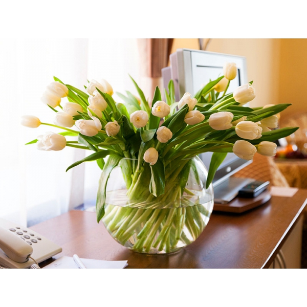 Ресторанный сервис бронирования столиков menu-rest.com - Интерьер ресторана "Максима Хотелс"