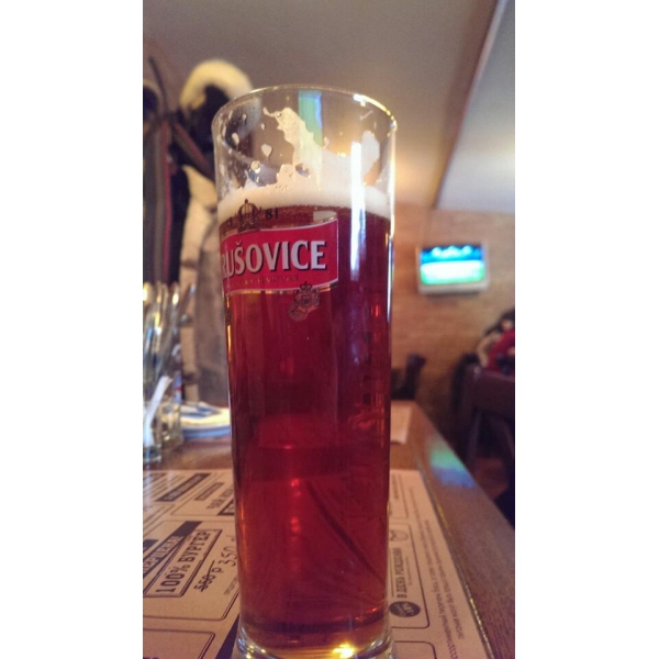 Ресторанный сервис бронирования столиков menu-rest.com - Интерьер ресторана "ПРОБКА"