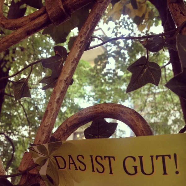 Ресторанный сервис бронирования столиков menu-rest.com - Интерьер ресторана "Бавариус"