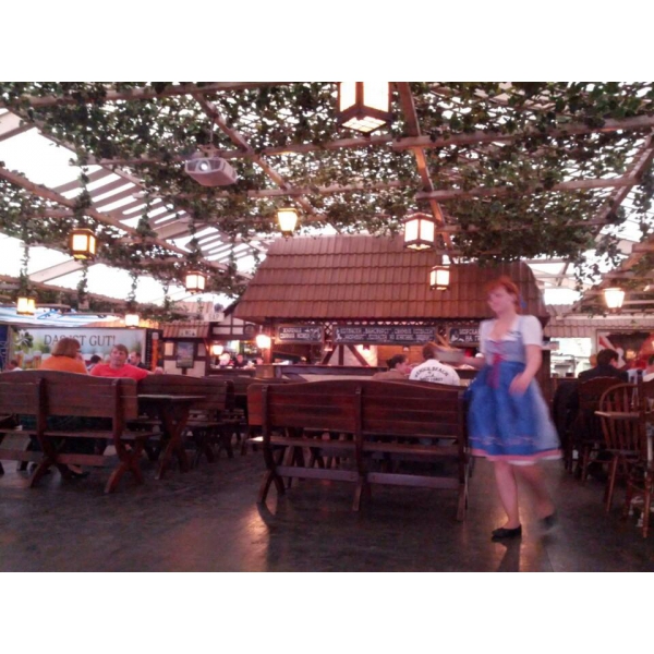 Ресторанный сервис бронирования столиков menu-rest.com - Интерьер ресторана "Бавариус"