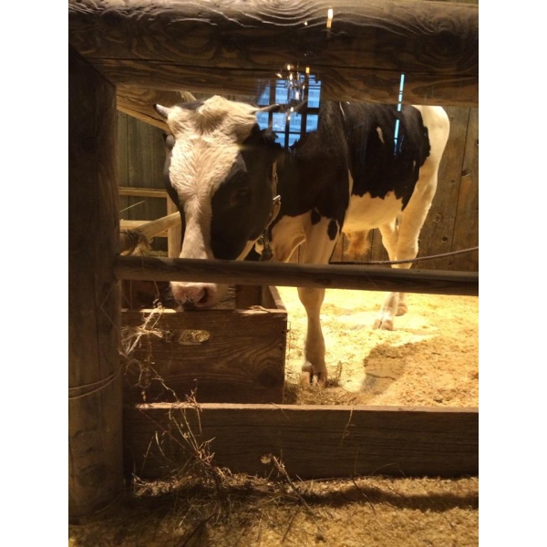 Ресторанный сервис бронирования столиков menu-rest.com - Интерьер ресторана "Шинок"