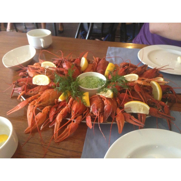 Ресторанный сервис бронирования столиков menu-rest.com - Интерьер ресторана "Бавариус"