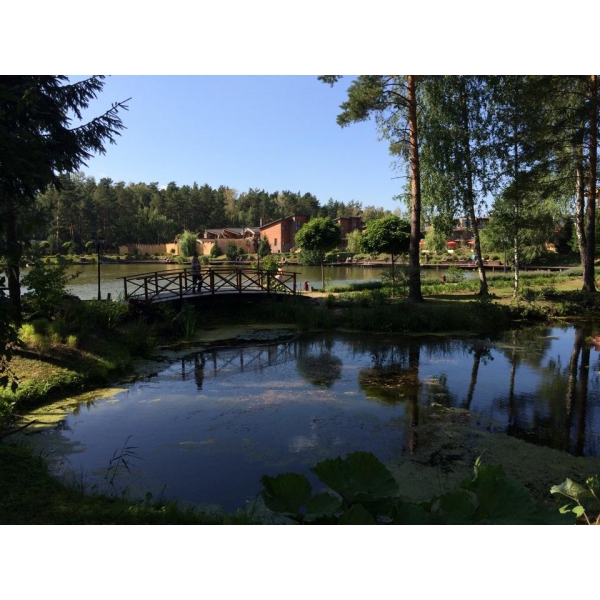 Ресторанный сервис бронирования столиков menu-rest.com - Интерьер ресторана "Artiland"