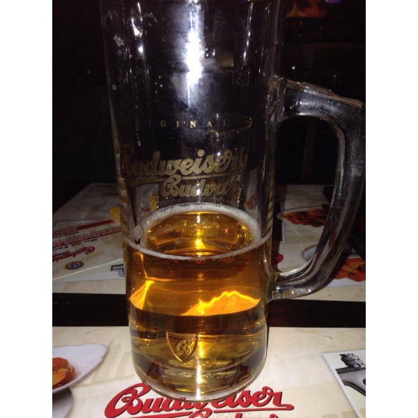 Ресторанный сервис бронирования столиков menu-rest.com - Интерьер ресторана "Budweiser Budvar"