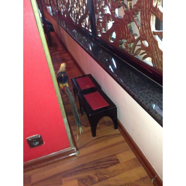 Ресторанный сервис бронирования столиков menu-rest.com - Интерьер ресторана "Храм Дракона"