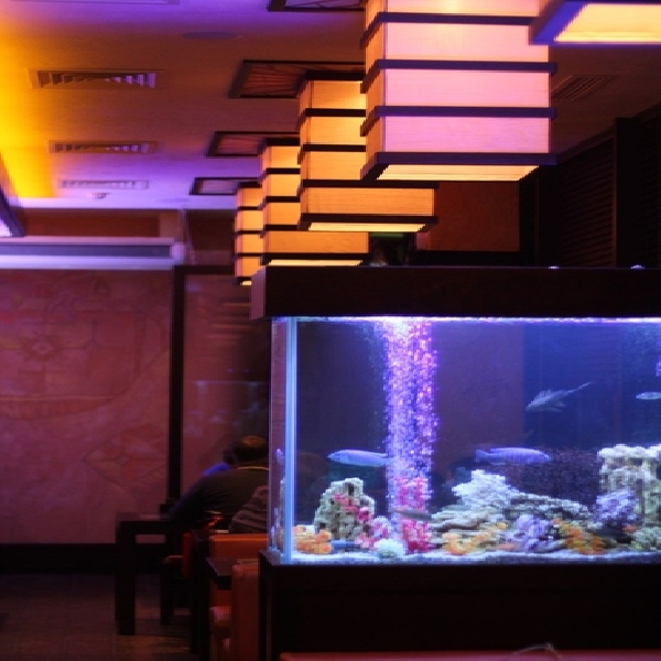 Ресторанный сервис бронирования столиков menu-rest.com - Интерьер ресторана "Нияма"