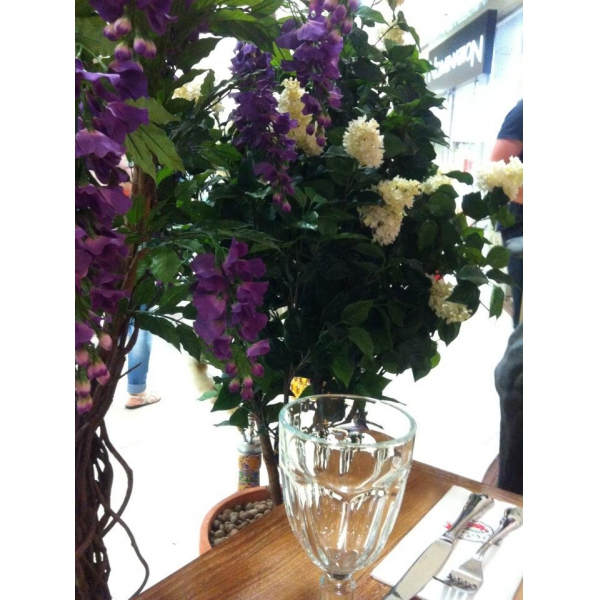 Ресторанный сервис бронирования столиков menu-rest.com - Интерьер ресторана "Чентрале"