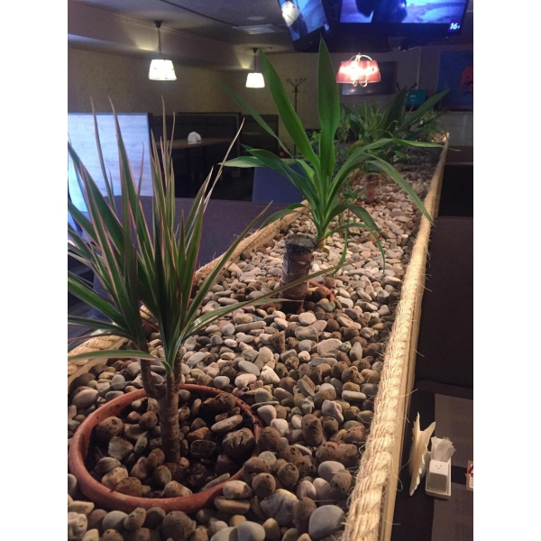 Ресторанный сервис бронирования столиков menu-rest.com - Интерьер ресторана "Гент"