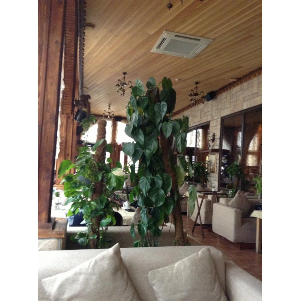 Ресторанный сервис бронирования столиков menu-rest.com - Интерьер ресторана "Боярский"