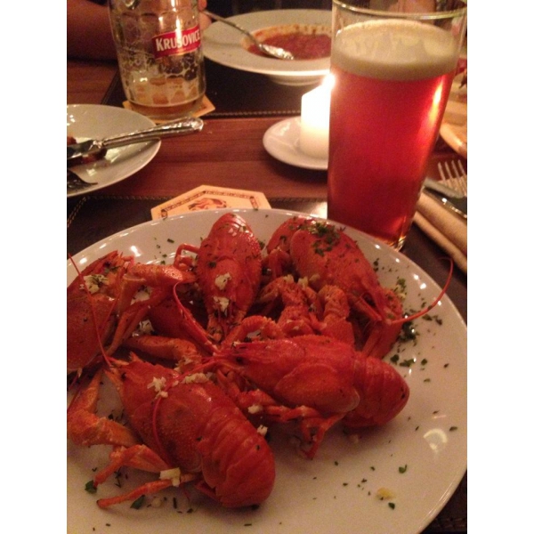 Ресторанный сервис бронирования столиков menu-rest.com - Интерьер ресторана "Ян Примус"