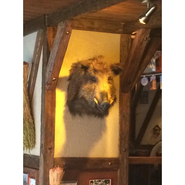 Ресторанный сервис бронирования столиков menu-rest.com - Интерьер ресторана "Бергштайн"