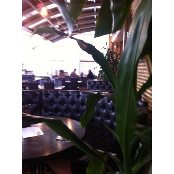 Ресторанный сервис бронирования столиков menu-rest.com - Интерьер ресторана "BrownBar Club"