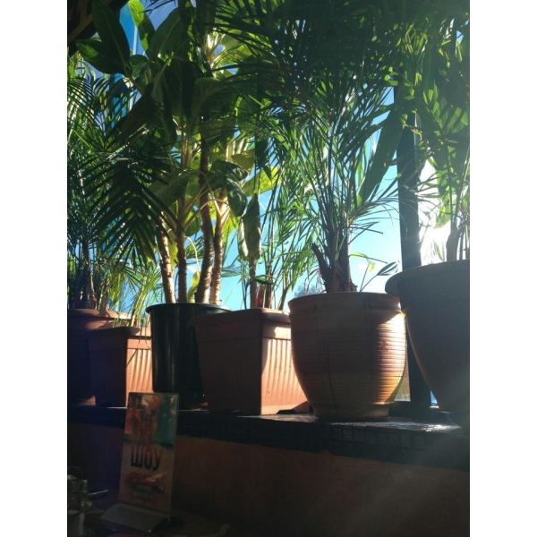 Ресторанный сервис бронирования столиков menu-rest.com - Интерьер ресторана "El Inka"