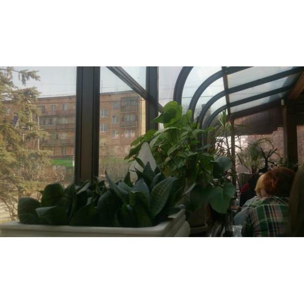 Ресторанный сервис бронирования столиков menu-rest.com - Интерьер ресторана "Ясный перец"