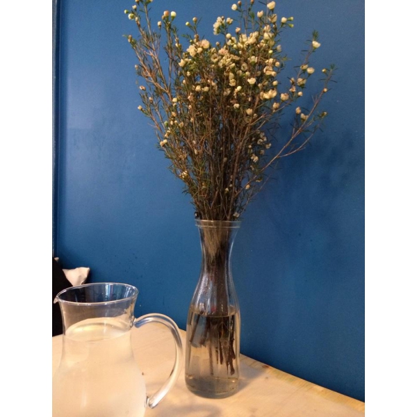 Ресторанный сервис бронирования столиков menu-rest.com - Интерьер ресторана "Rico"