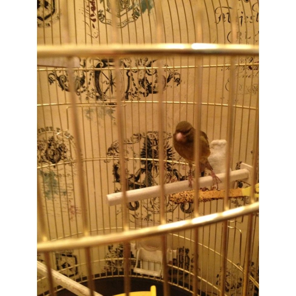 Ресторанный сервис бронирования столиков menu-rest.com - Интерьер ресторана "BBcafe"