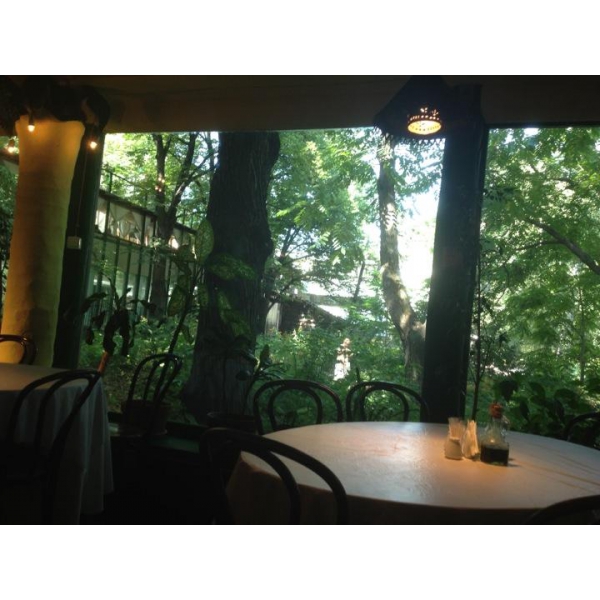 Ресторанный сервис бронирования столиков menu-rest.com - Интерьер ресторана "Мадам Галифе"