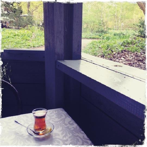 Ресторанный сервис бронирования столиков menu-rest.com - Интерьер ресторана "Мадам Галифе"