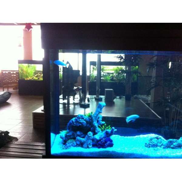 Ресторанный сервис бронирования столиков menu-rest.com - Интерьер ресторана "Калипсо"