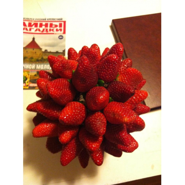 Ресторанный сервис бронирования столиков menu-rest.com - Интерьер ресторана "Годуновъ"