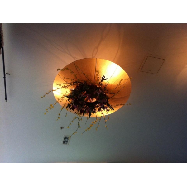 Ресторанный сервис бронирования столиков menu-rest.com - Интерьер ресторана "Bora Bora Cafe"