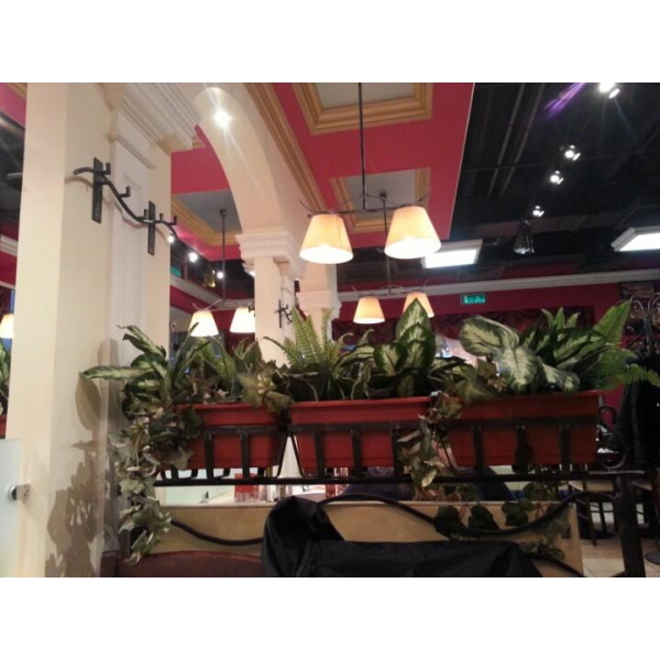 Ресторанный сервис бронирования столиков menu-rest.com - Интерьер ресторана "IL Патио"