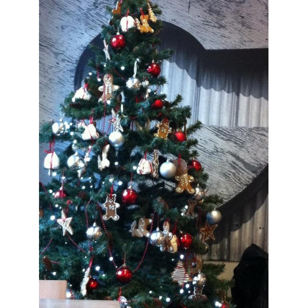 Ресторанный сервис бронирования столиков menu-rest.com - Интерьер ресторана "Correa`s"