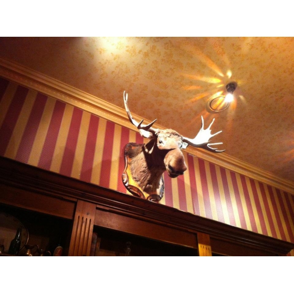 Ресторанный сервис бронирования столиков menu-rest.com - Интерьер ресторана "Вильям Басс"